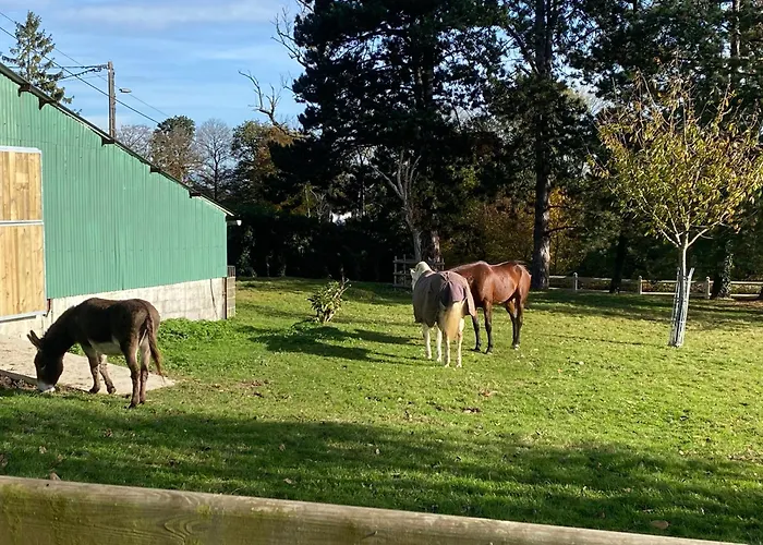 La Ferriere * Pissy-Poville
